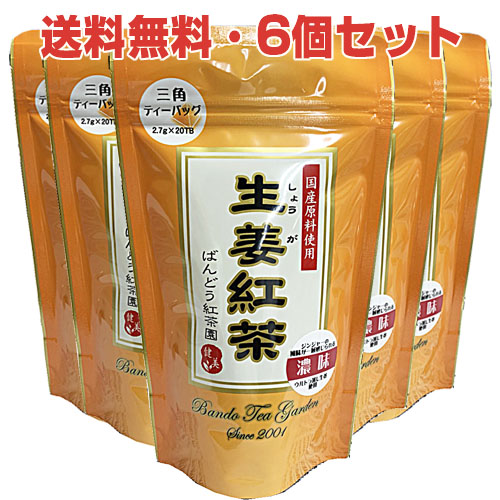 【6個セット】国産生姜使用 生姜紅茶濃味（しょうが紅茶）2.7g×20袋×6個（ジンジャーティー）