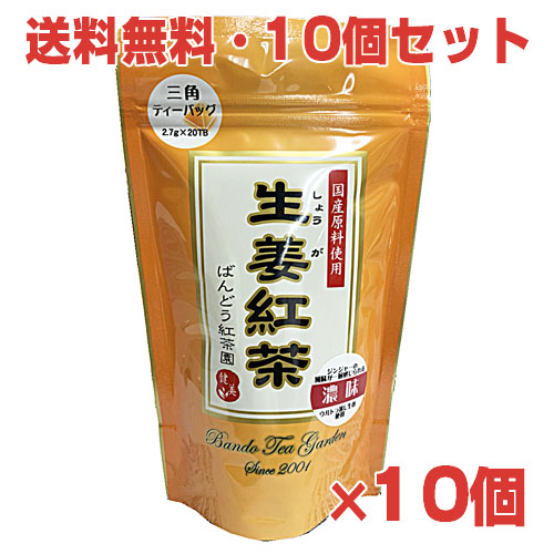 【10個セット】国産生姜使用 生姜紅茶（しょうが紅茶）2.7g×20袋×10個 国産ショウガ紅茶
