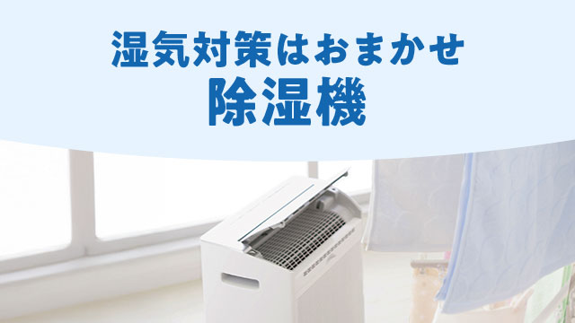 部屋の湿気、スッキリ解消。