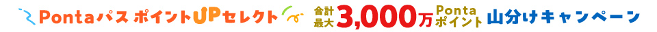 3,000万ポイント山分けキャンペーン開催！