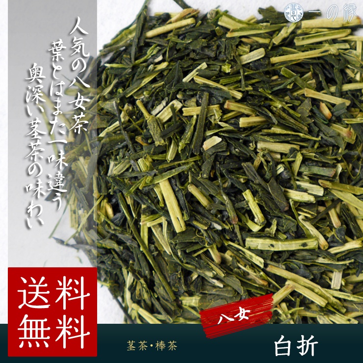 送料無料 豊かな味わい 八女白折 300g (100g×3) 茶葉 かりがね 茎茶 棒茶 茶香炉