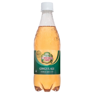 カナダドライ ジンジャーエール 500mL