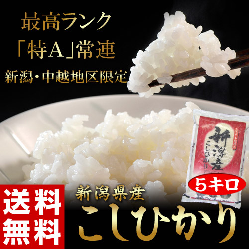 《送料無料》新潟県産「コシヒカリ」 白米 5kg &cir;