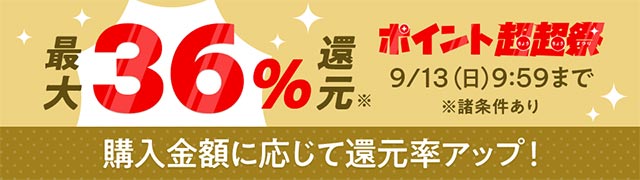 フューチャーカードバディファイト 氷神の盾 スヴェル PR/0068 プロモ