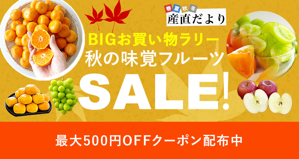 au PAY マーケット 通販サイト